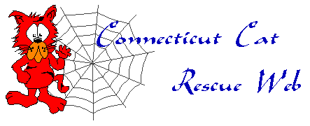 THE CONNECTICUT CAT RESCUE WEB